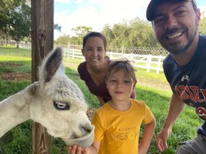 Family fun at Golden Spirit Alpaca Farm