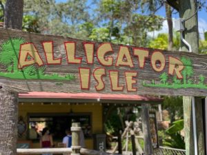 Feed the Alligators at Congo River