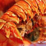 Lemongrass Lobster Rock and Roll