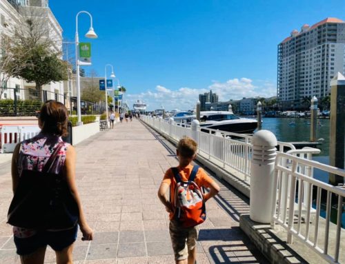 What To Do in Tampa After Riding Cross-Bay Ferry