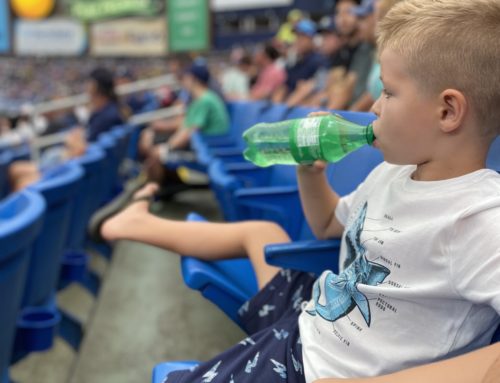 Guide for Watching Tampa Bay Rays at Tropicana Field